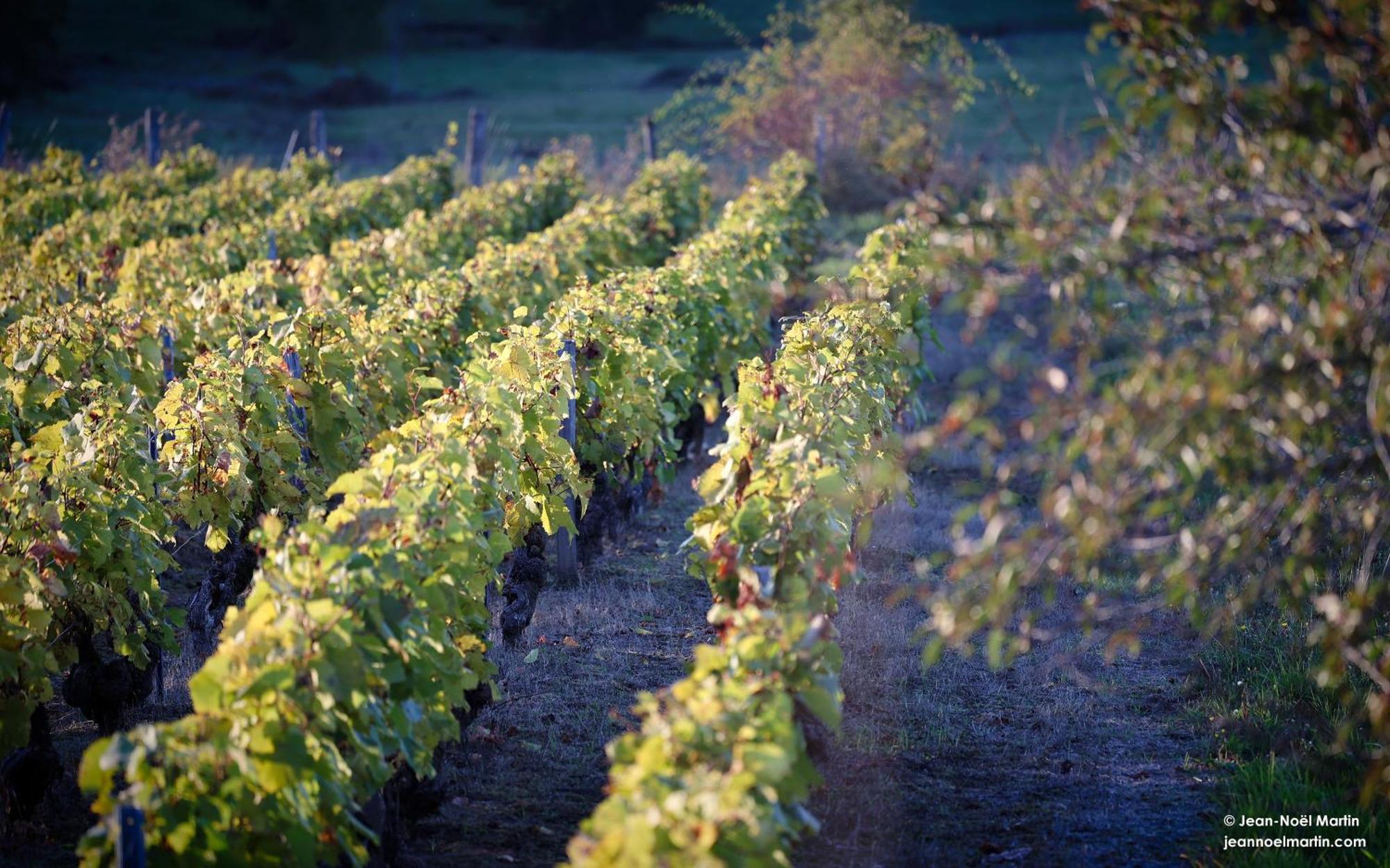 مبيت وإفطار Le Domaine De Moroges المظهر الخارجي الصورة