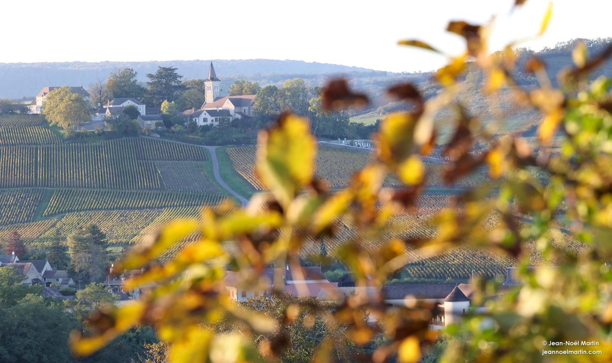 مبيت وإفطار Le Domaine De Moroges المظهر الخارجي الصورة