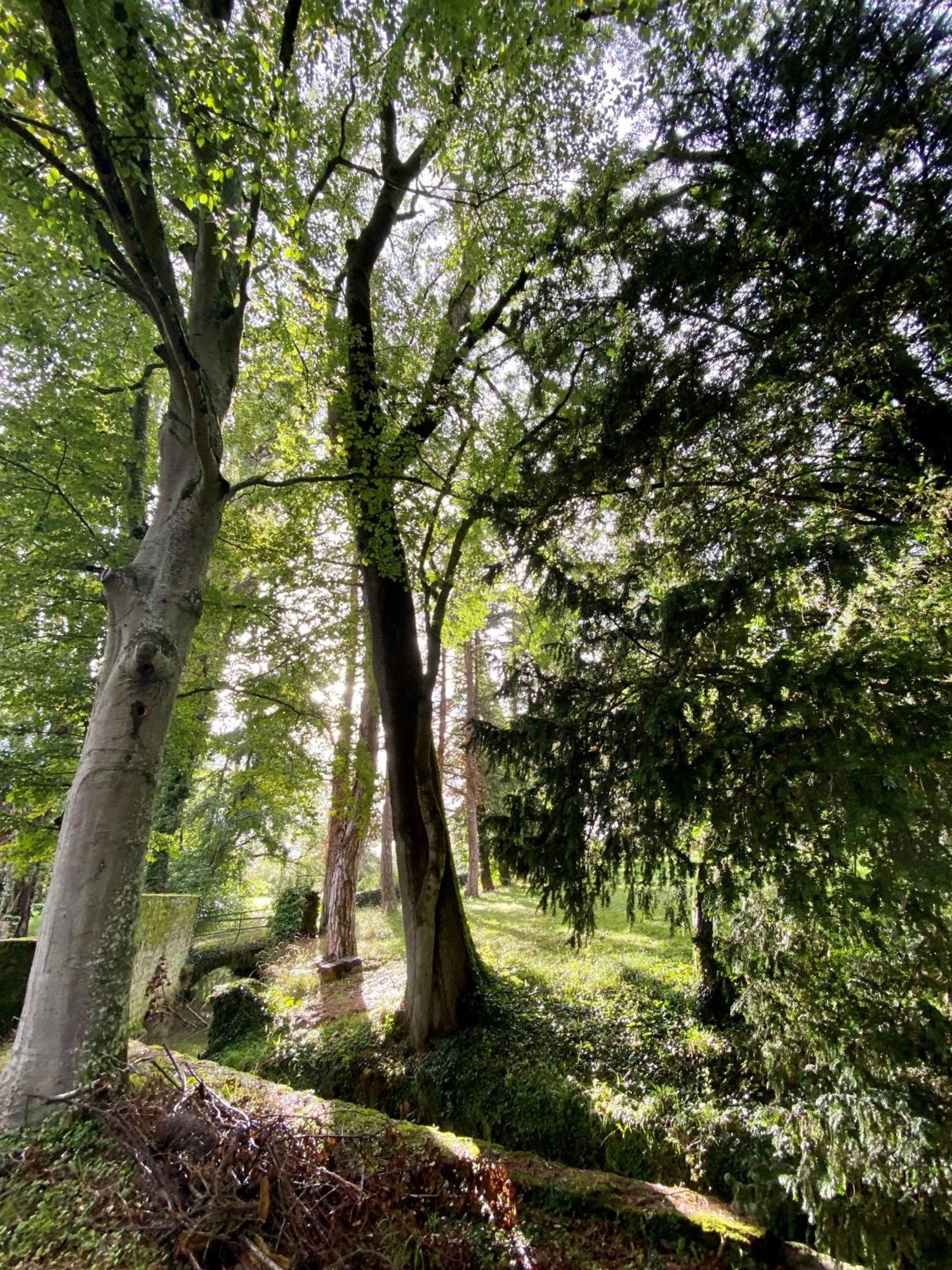 مبيت وإفطار Le Domaine De Moroges المظهر الخارجي الصورة