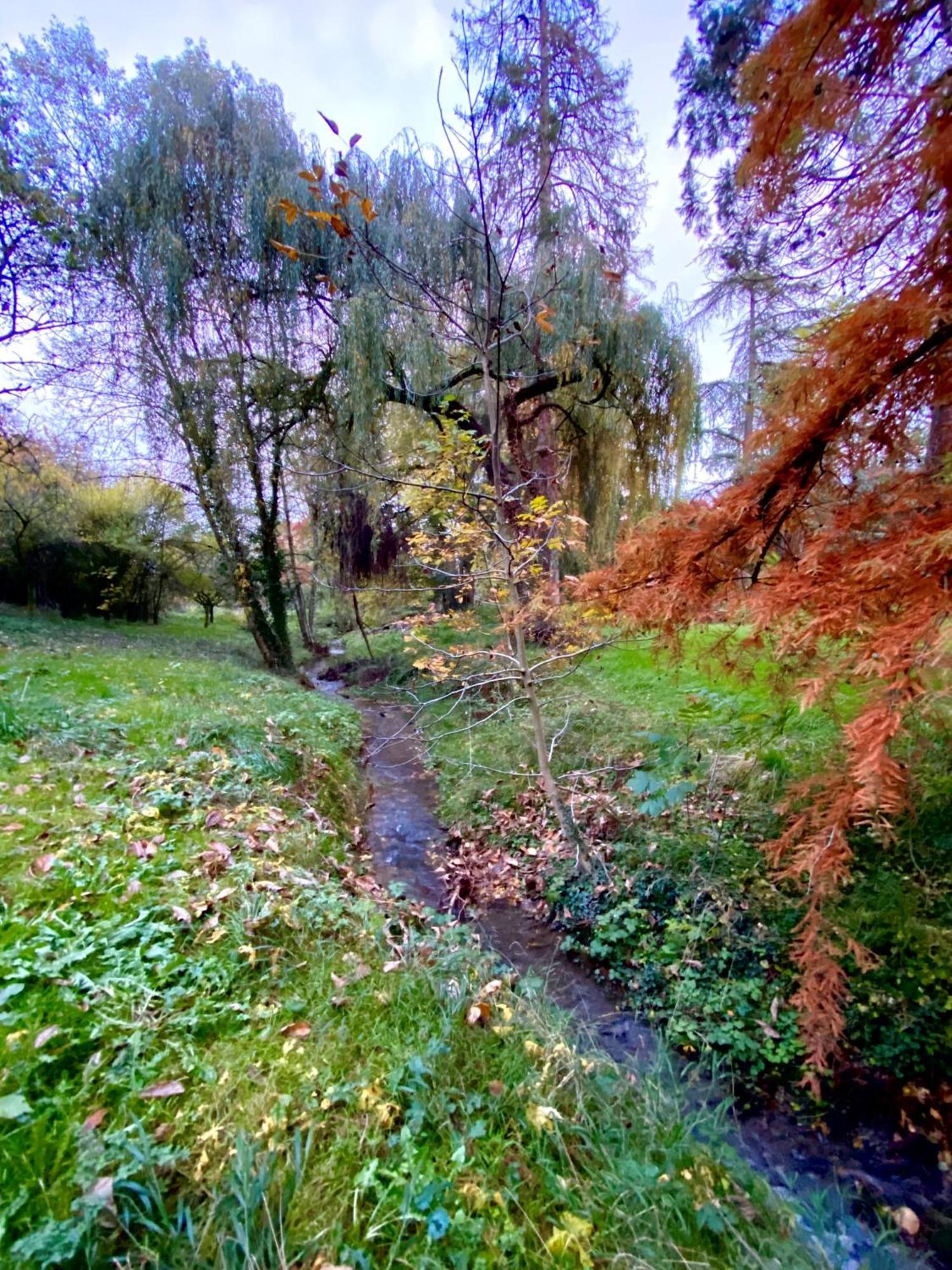 مبيت وإفطار Le Domaine De Moroges المظهر الخارجي الصورة
