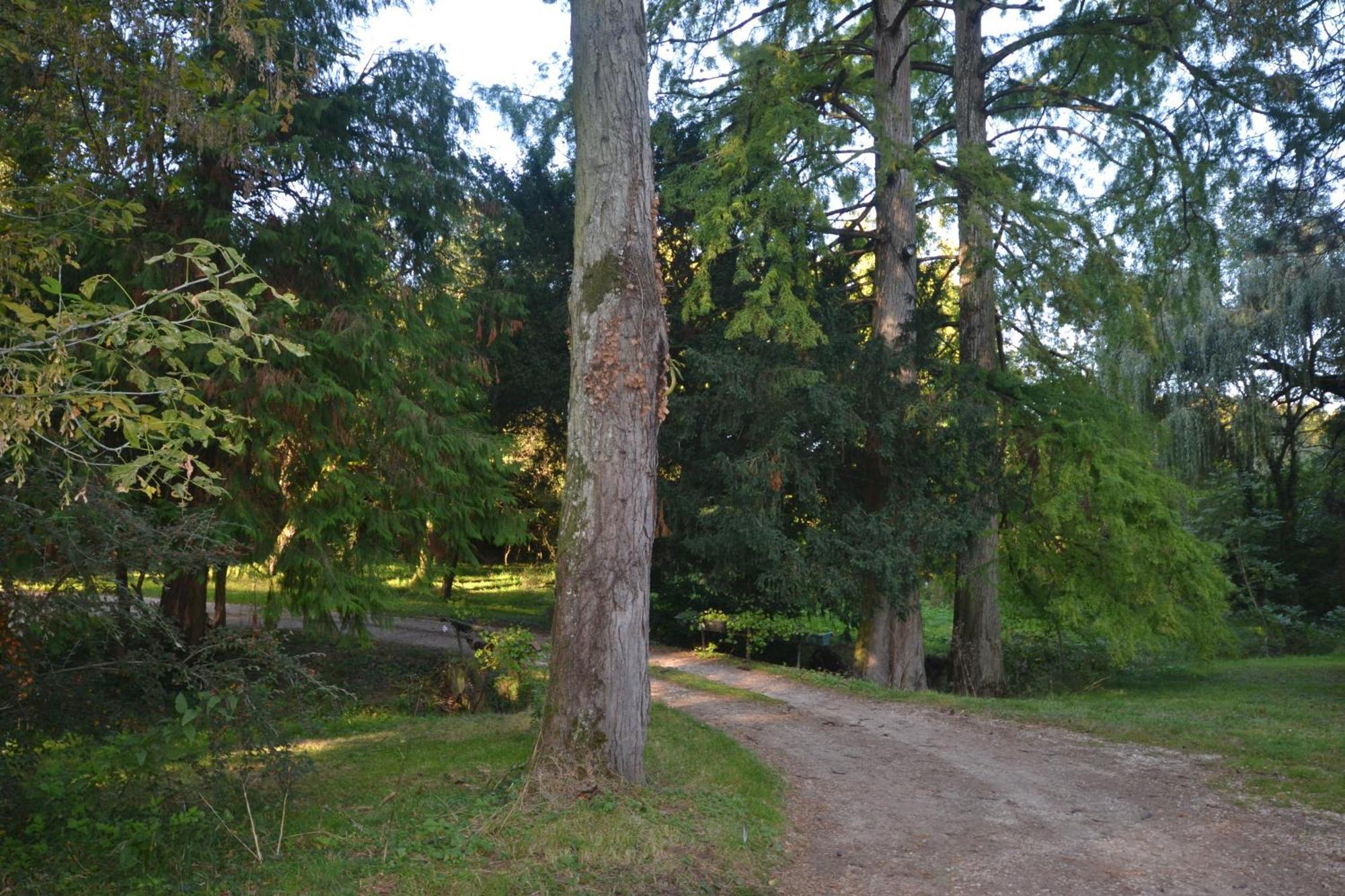 مبيت وإفطار Le Domaine De Moroges المظهر الخارجي الصورة